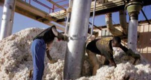 —La Seicb se fait rouler dans le coton par la Sodeco —