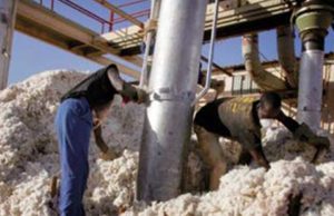 —La Seicb se fait rouler dans le coton par la Sodeco —
