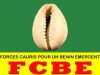 Bénin/Le Bureau National réfute le supposé récépissé délivré au parti FCBE et dénonce: »Des manœuvres de déstabilisation »