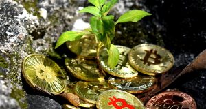 Inclusion financière/Les crypto monnaies pour booster le processus d’intégration monétaire en Afrique
