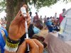 Borgou/Santé : Une épidémie de méningite sévit à Kalalé